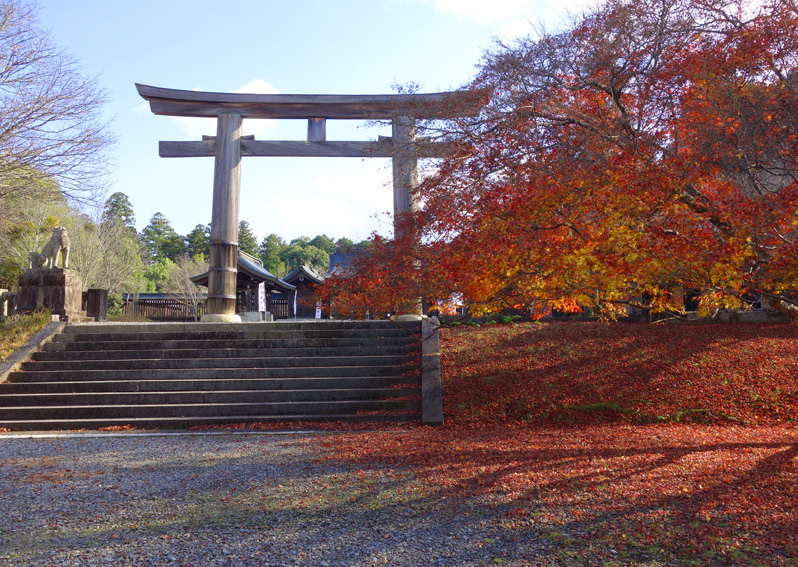 近代神社建築としても名高い吉野神宮。角南 隆の初期の代表作品。上を向く狛犬が珍しい。