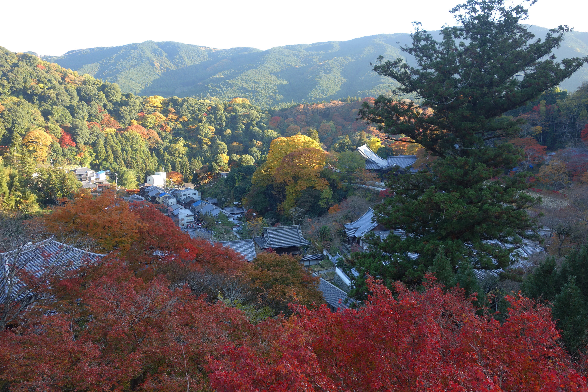 長谷寺、舞台からの紅葉